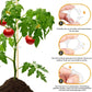 💥 Műanyag növénykötözők - növények rögzítéséhez🌱🍅