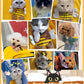 🐈👜Cute Dew Head Shape Cat Bag – Állathordó táska, kényelmes és stílusos utazáshoz