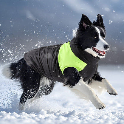 🐕 VÍZÁLLÓ SZÉLÁLLÓ TÉLI KUTYAKABÁT