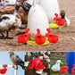 🐔 | Automatikus tyúk itató | Megbízható | Telepítés 3 perc alatt