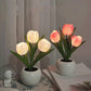 🔥LED Tulip éjszakai lámpa virág asztali lámpa🌷✨