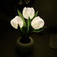 🔥LED Tulip éjszakai lámpa virág asztali lámpa🌷✨
