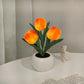🔥LED Tulip éjszakai lámpa virág asztali lámpa🌷✨
