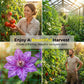 🌿🍆 Extra erős kerti futónövény-háló 👩‍🌾💕 | Raktáron 🚚📦