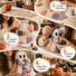 🧵👻HALLOWEENI DIY PATCHWORK KÉSZLET – KIS SZELLEMES, KREATÍV ÉS HANGULATOS