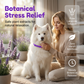 🐕✨ÁLLÍTHATÓ NYUGTATÓ NYAKÖRV KUTYÁKNAK – STRESSZCSÖKKENTÉS, KÉNYELMES VISELÉS