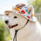 🧢🐶Nyári kiskutyás bucket kalap fülyukakkal – Cukormintás, kényelmes, tökéletes meleg napokra
