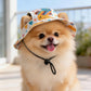 🧢🐶Nyári kiskutyás bucket kalap fülyukakkal – Cukormintás, kényelmes, tökéletes meleg napokra
