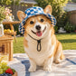 🧢🐶Nyári kiskutyás bucket kalap fülyukakkal – Cukormintás, kényelmes, tökéletes meleg napokra