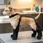 🐕💧Vízálló, leesésgátló kutyacipő állítható hevederrel és pánttal – Biztonságos, kényelmes, minden időjáráshoz
