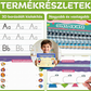 ✍️✨Magic Barázdált Kézírásgyakorló Könyvkészlet – Újrafelhasználható, eltűnő tintával, játékos írástanulás