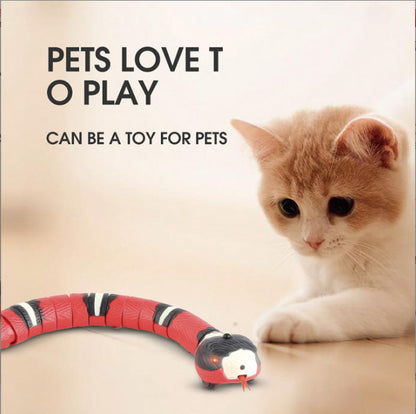 Smart Sensing Snake
